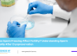 Does Sperm Freezing Affect Fertility Understanding Sperm Quality After Cryopreservation-IVF